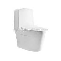 Perfect Space Saving One Piece Siphonic Toilet for Multifunctional Use